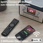 QUAD Vena II Play Streamingverstärker (Lancaster Grey)