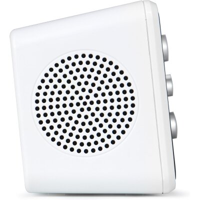 Radiowecker mit PLL UKW Lautsprecher, AudioAffairs RW 010...