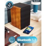 Aktiv Regallautsprecher BT, AUX,USB,HDMI,Braun,1 Paar,MAJORITY D100, WIE NEU