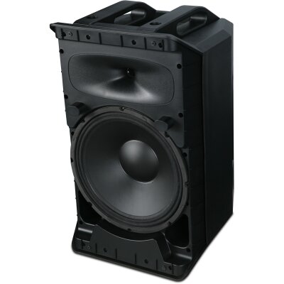 Wharfedale Pro Tourus AX‑12 MBT