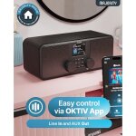 Internet- & DAB+ Radio, BT, Line-Out, Spotify, Wecker, Majority Rostock, WIE NEU