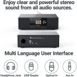 Internetradio, DAB+, CD, BT, eingebauter Subwoofer, Quadriga, schwarz, WIE NEU