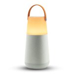 Bluetooth Partylautsprecher LED Lichtshow Akku ION Bright Max DEFEKT