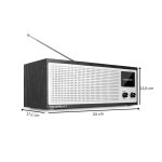 Internetradio DAB+ WLAN Bluetooth Farbdisplay, Blaupunkt Napoli IRD 400, MANGEL