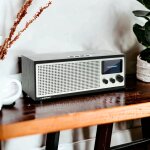 Internetradio DAB+ WLAN Bluetooth Farbdisplay, Blaupunkt Napoli IRD 400, MANGEL