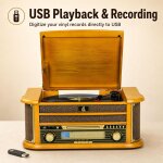 Retro All in One HiFi System 8-in-1,Plattenspieler CD Kassette, DL 189B99 MANGEL