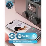 Radio DAB+ Internet, BT, Line-Out, Spotify, Wecker, Majority Rostock, UNVOLLSTÄN